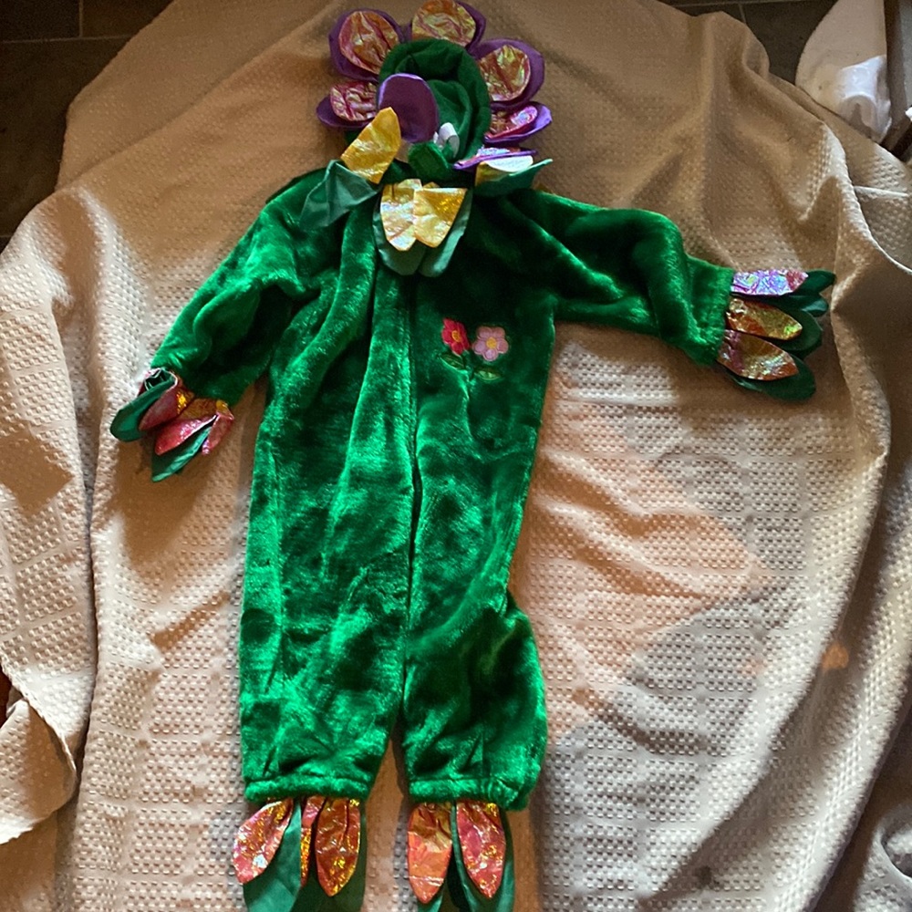 Charisha Payful Plush Child Kid Hooded Flower Costume Age 2-4 Halloween Boy Girl